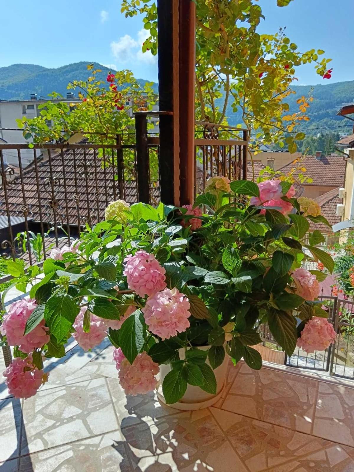Gorazde-Centar Apartment エクステリア 写真